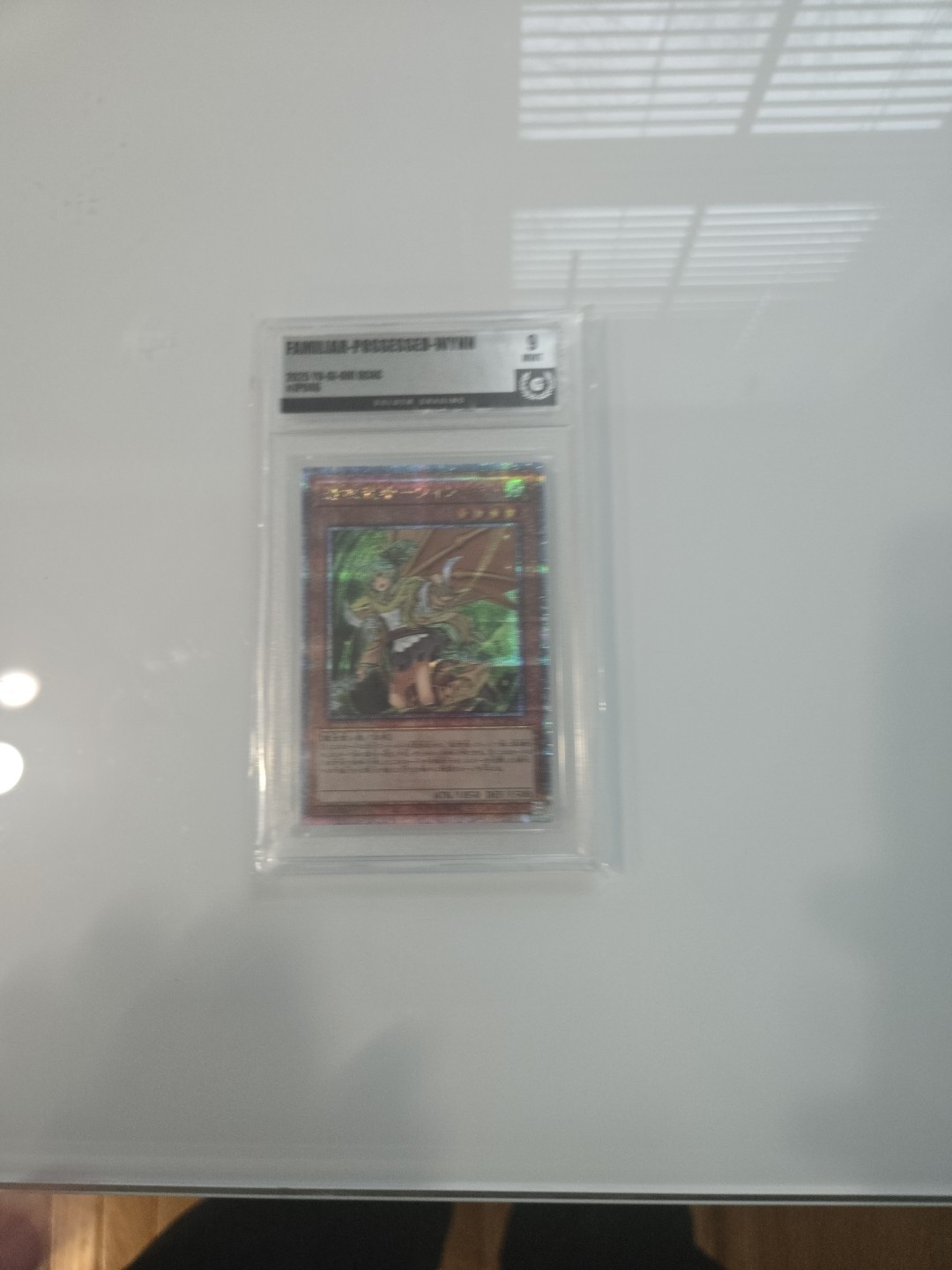 Familiar-Possessed – Wynn [Alternate Art] [Quarter Century Secret Rare]