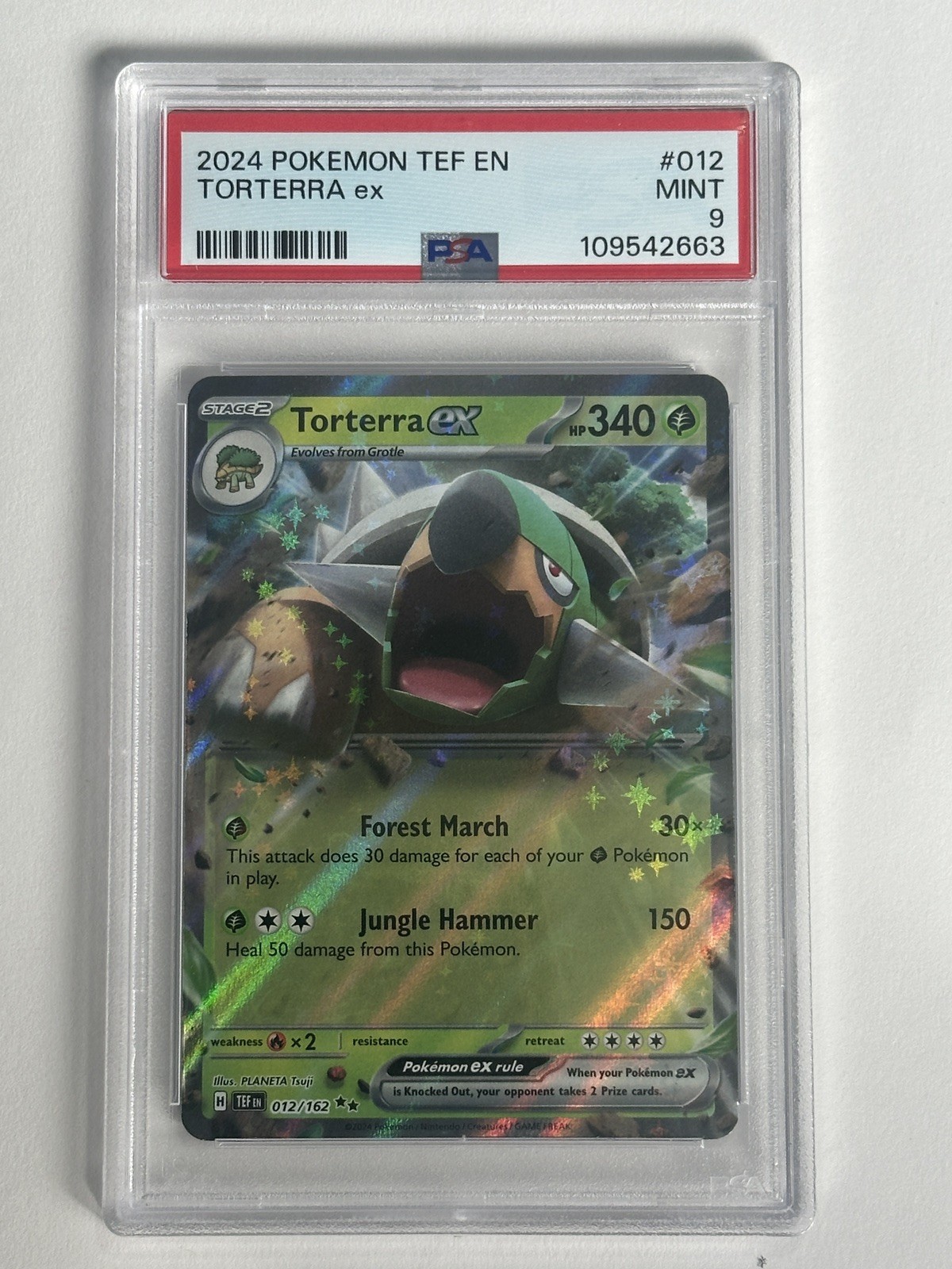 Torterra ex SV05: Temporal Forces TEF 012/162 Holofoil NM PLANETA Tsuji