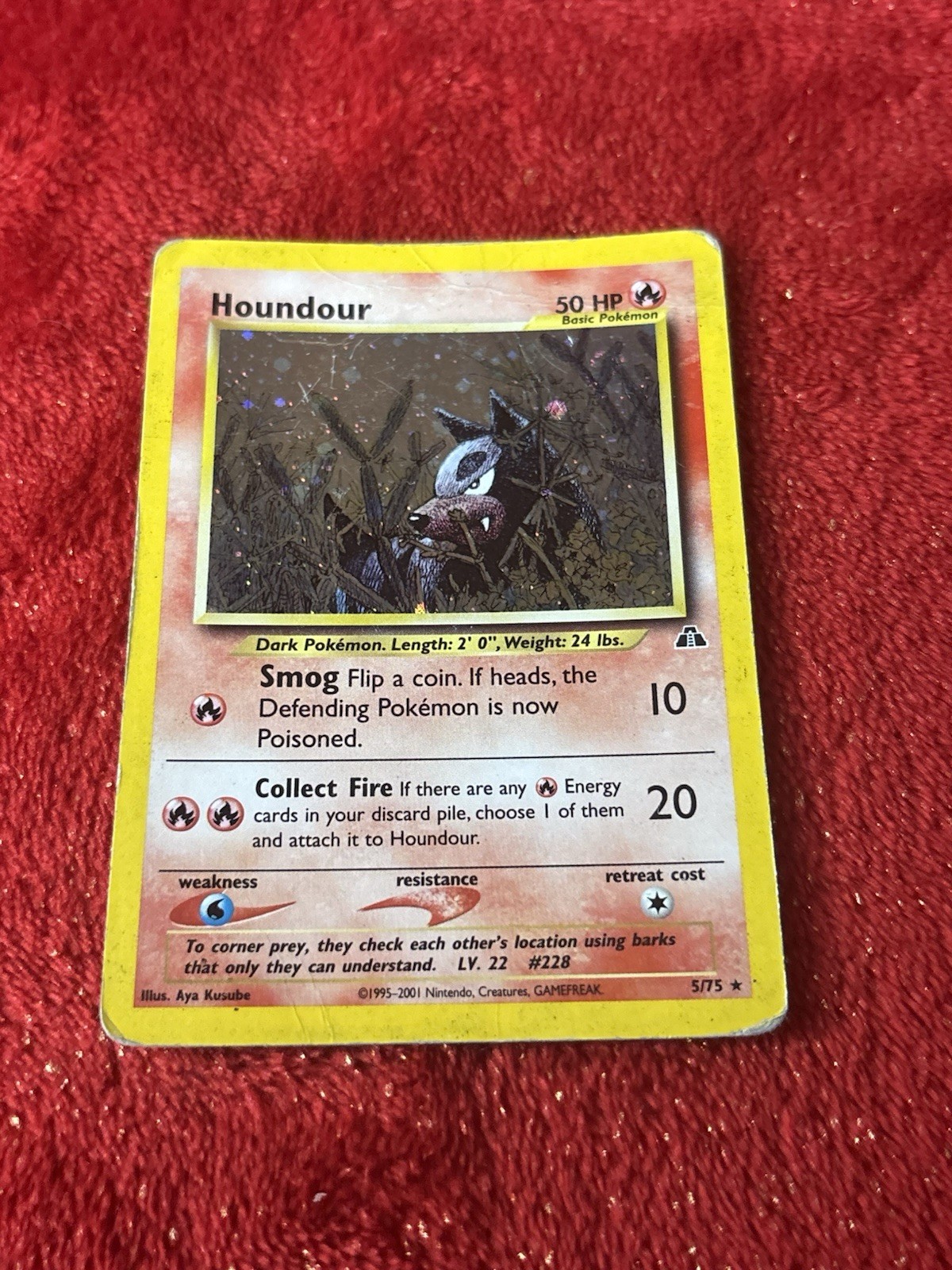 Houndour 5/75 Neo Discovery Holo Rare Vintage Pokémon TCG English Hp