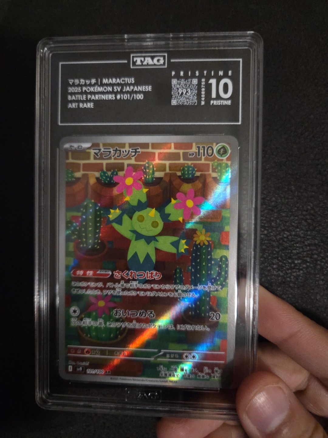 Maractus 101/100 PRISTINE TAG 10 GEM MINT Pokemon JPN Battle Partners Art Rare