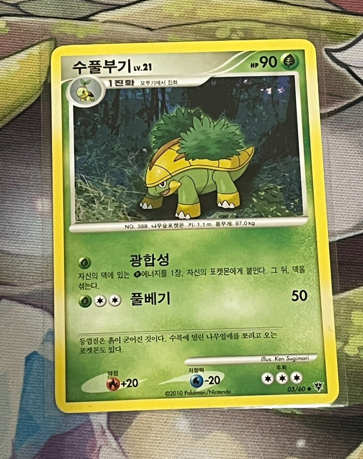 Grotle 003/60 2010 Nintendo Grass Start of Adventure Korean Pokemon Card NM