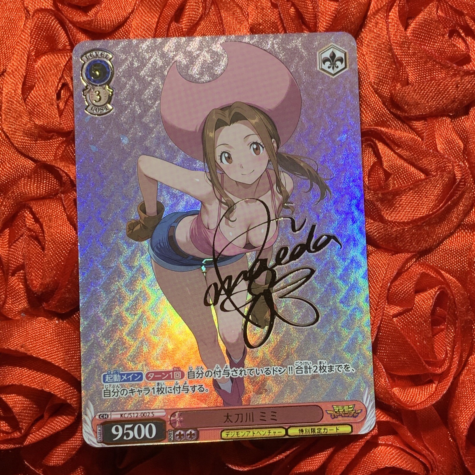 Mimi Tachikawa DIGIMON BABE Goddess WAIFU ACG Anime Holo Girl Card