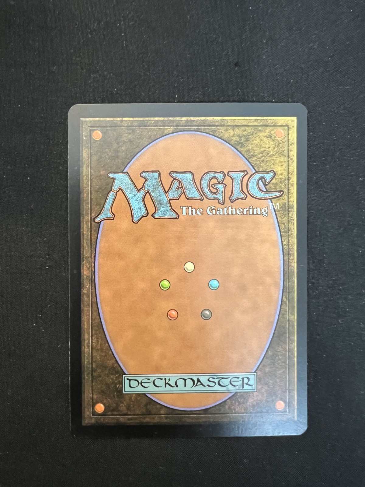 MTG Forest 246/249 John Avon Basic Land Zendikar LP