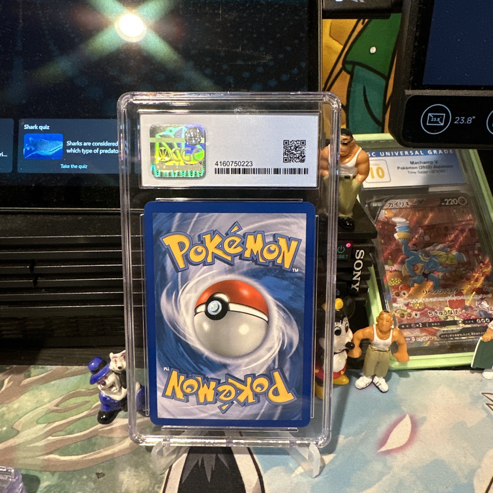 Shelmet 11/101 Promo Regional Championships CGC 9 Mint Pokemon TCG