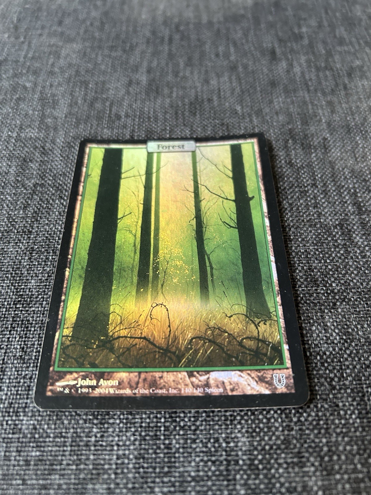 VG Foil Unhinged Forest Magic The Gathering John Avon
