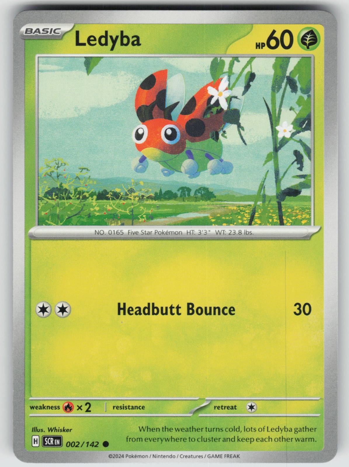 Ledyba 2/142 Common Stellar Crown Pokemon Near Mint