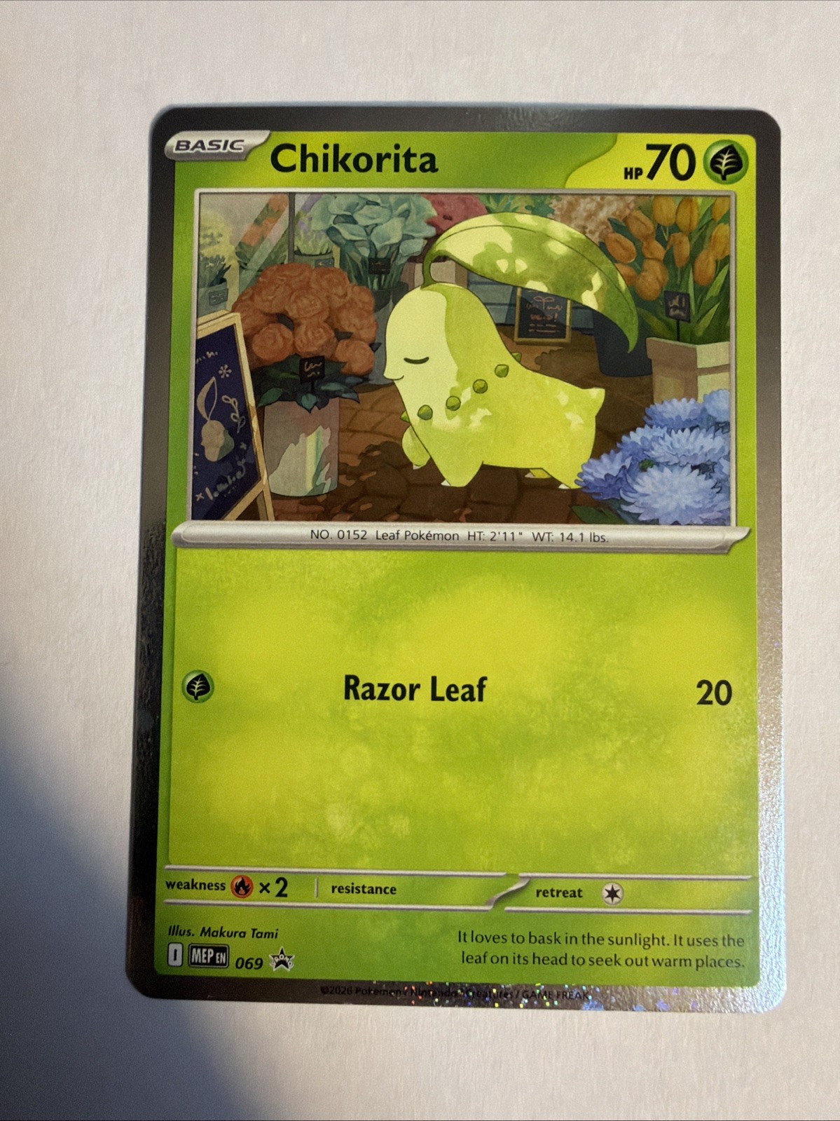 FART WHOLE SWIRL 🌀💫 Chikorita MEP 069 Order Cosmos Holo Promo Pokémon Card