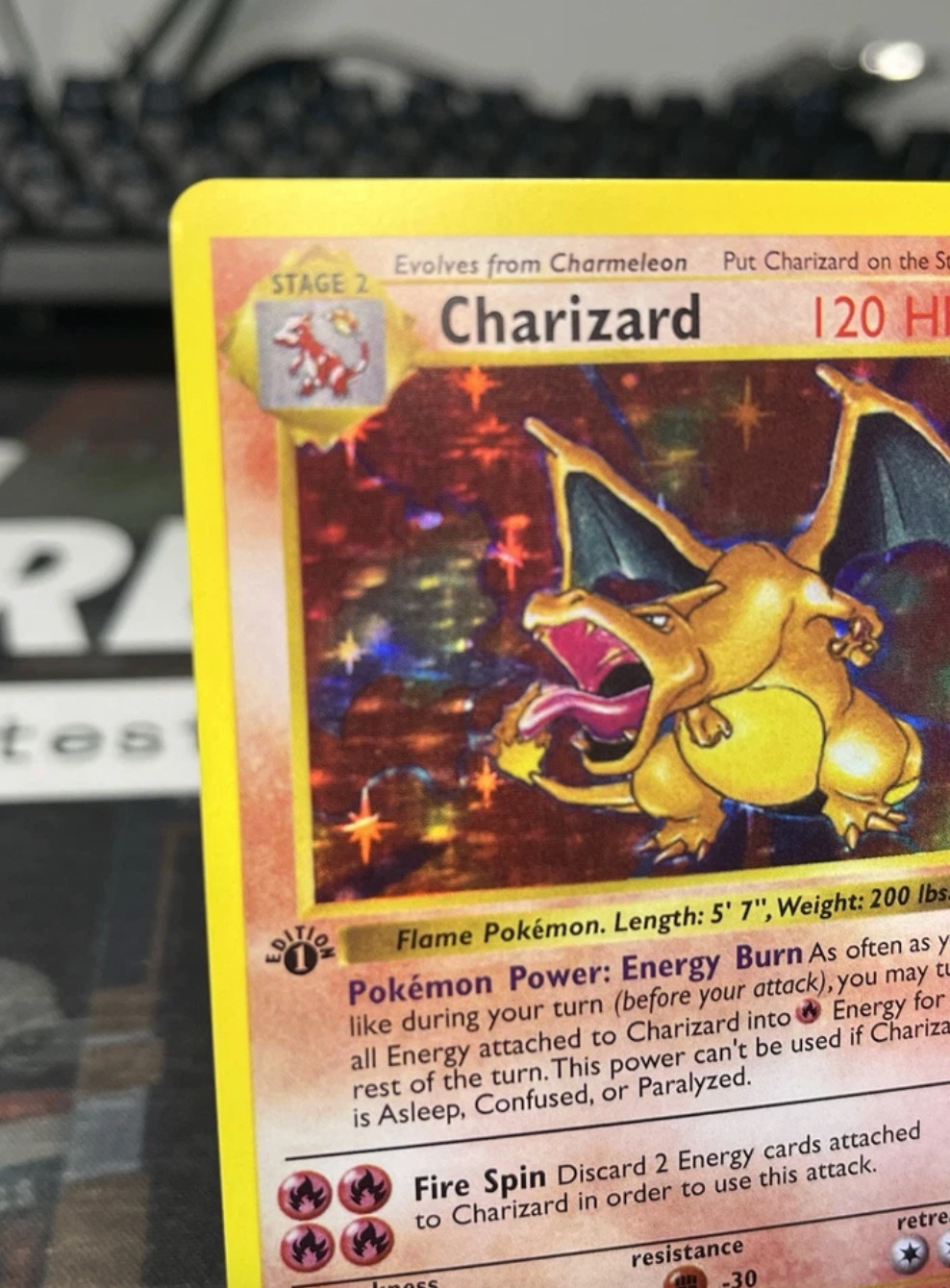1st Edition Shadowless Charizard 4/102 Base Set Holo Pokemon * PRXY (REPLIK) *