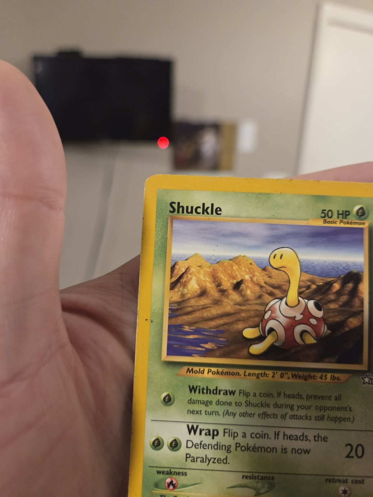Shuckle 72/111 Neo Genesis Regular
