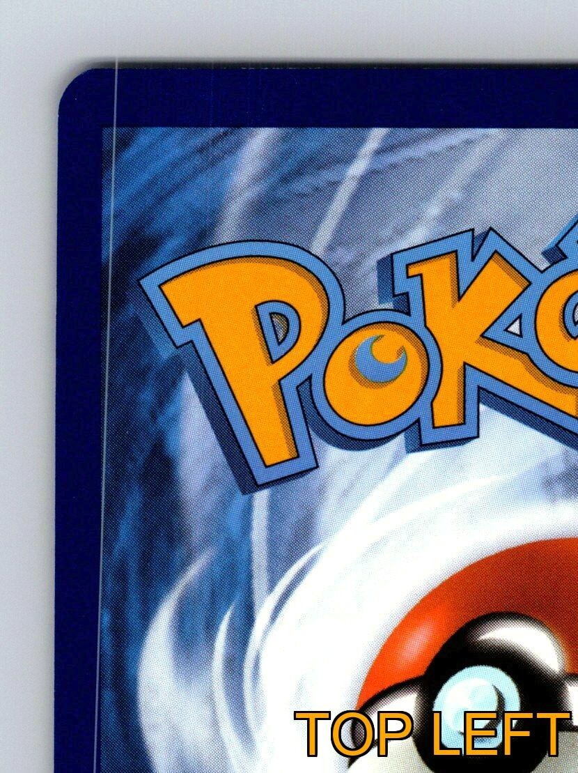 Houndstone HP 140 Two Fourocious Attack Rarity Pink Pokémon Card