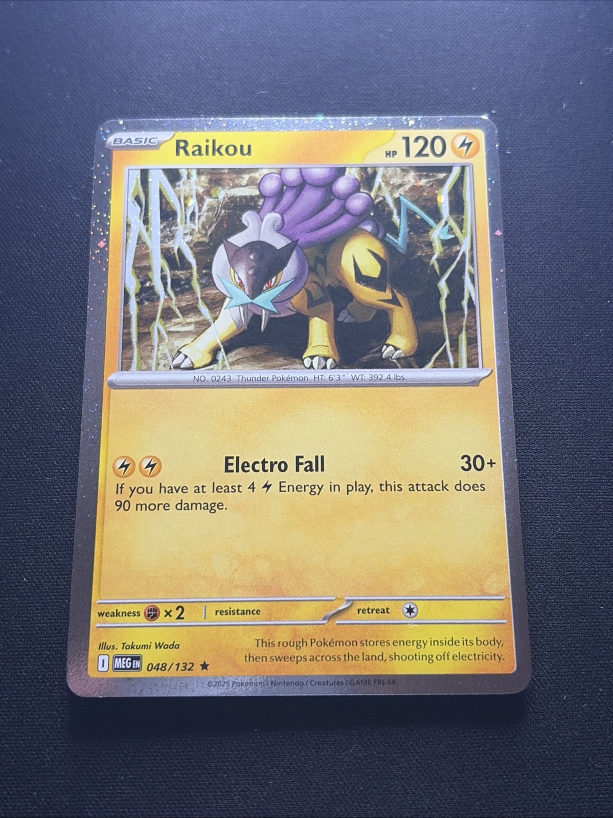 Pokémon TCG Raikou Black Star Promo Holo Card Cosmo