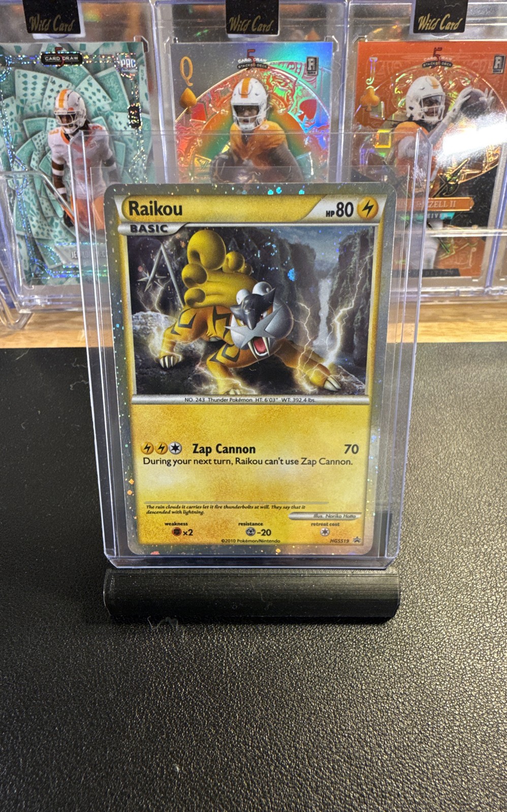 Raikou HGSS19 Hgss Holo
