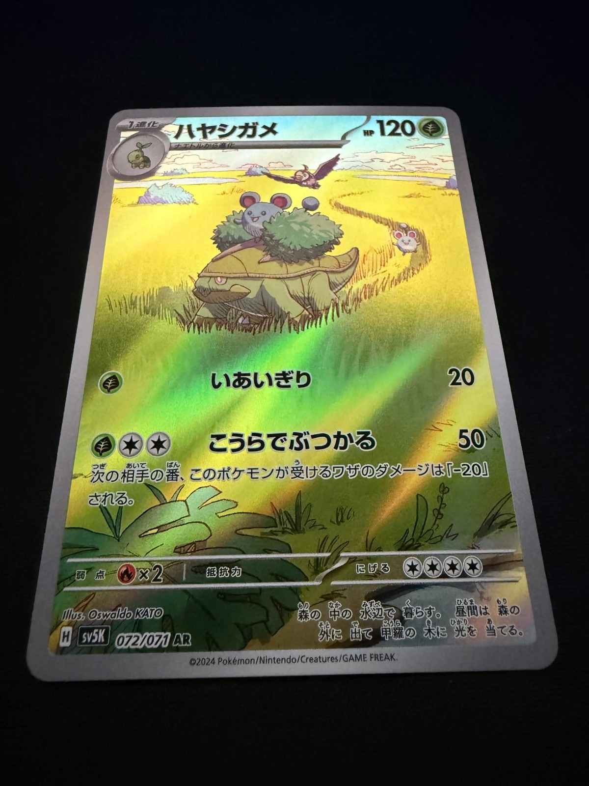 Grotle AR 072/071 Wild Force SV5K Japanese Pokemon Illustration Rare NM
