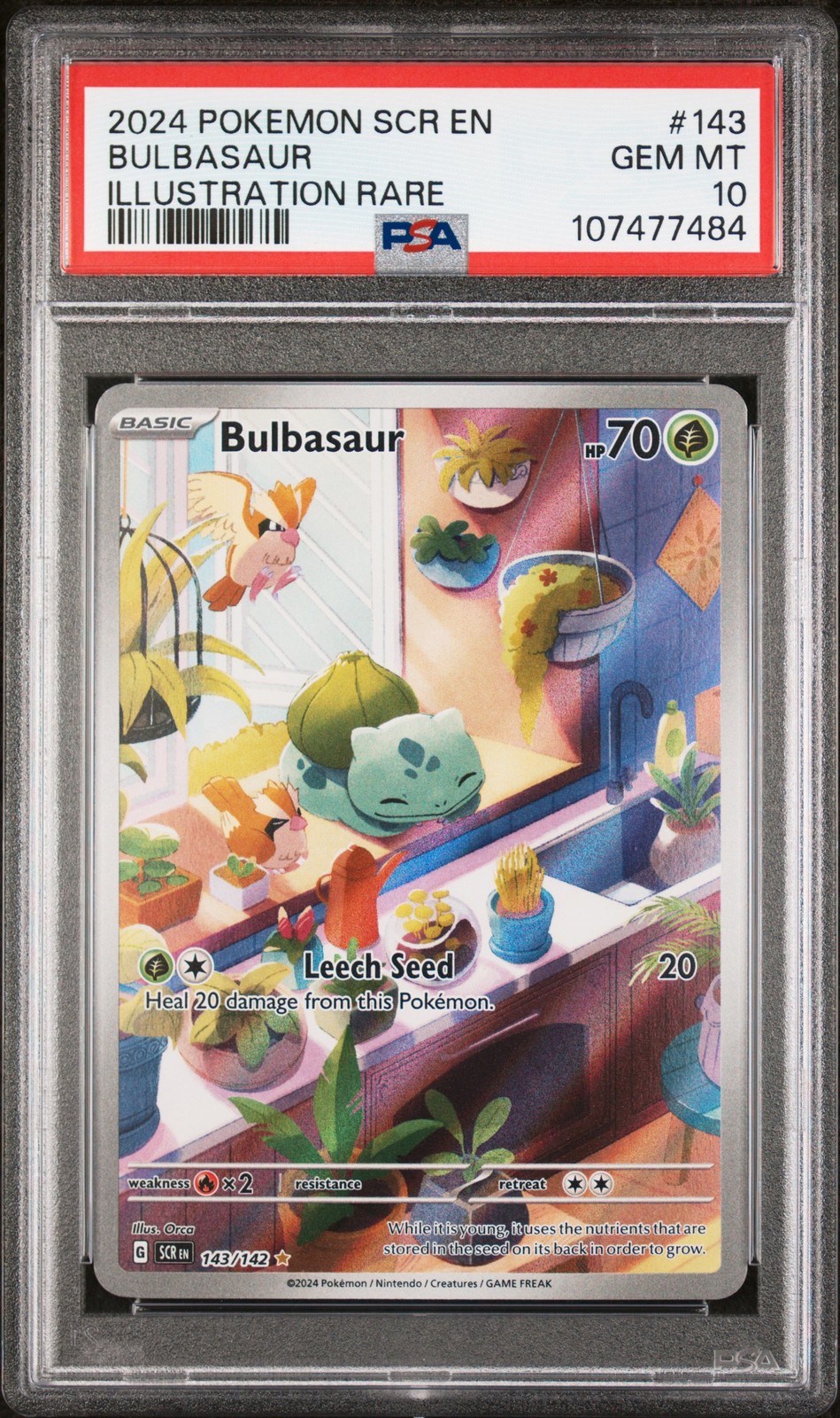 2024 POKEMON SCR EN-STELLAR CROWN ILLUSTRATION RARE #143 BULBASAUR PSA 10