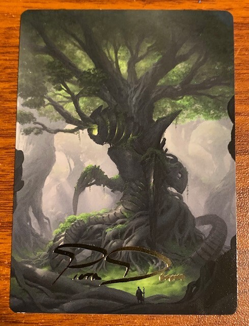MTG The Brothers War Art Series #53/81 Forest/Piotr Dura Gold Signature