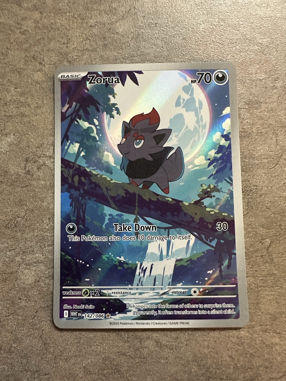 Zorua Holo Illustration Rare SV: White Flare 142/086 NM