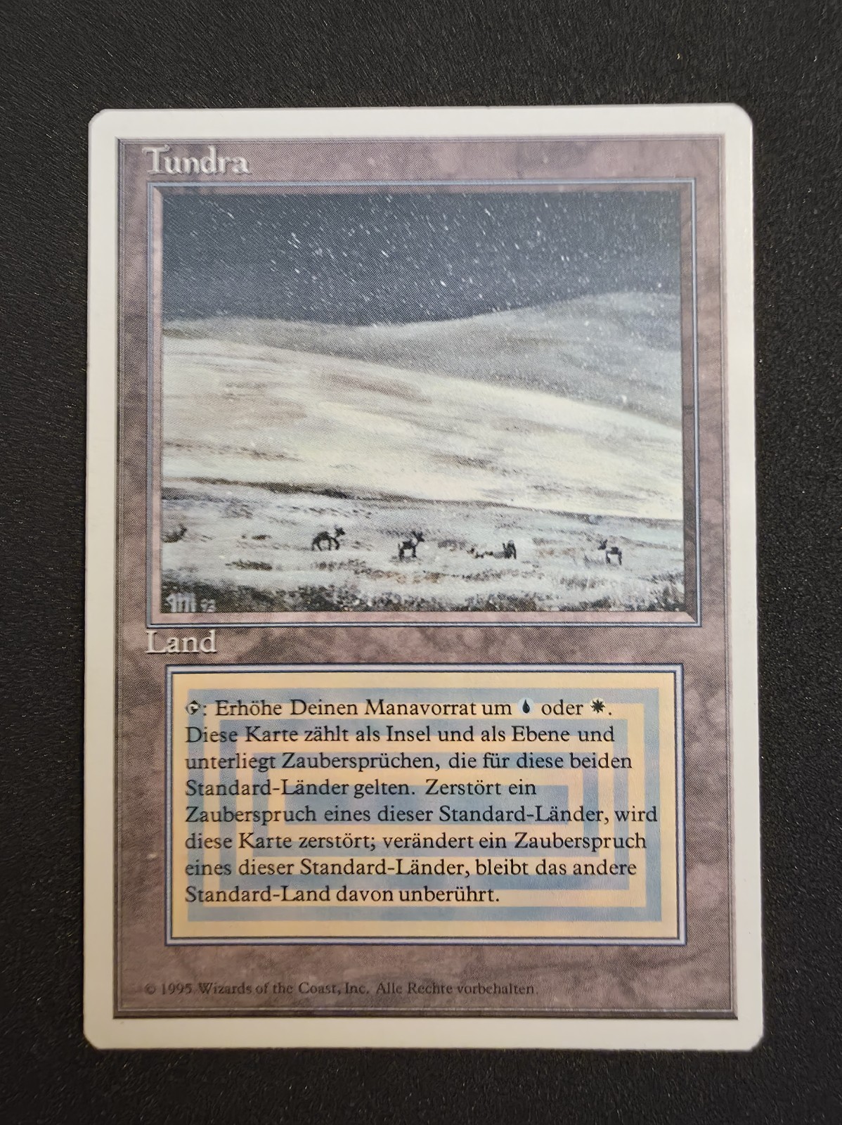 FWB Revised Tundra German LP+ MTG