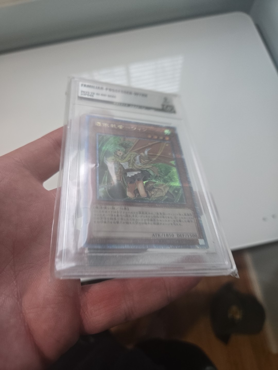Familiar-Possessed – Wynn [Alternate Art] [Quarter Century Secret Rare]
