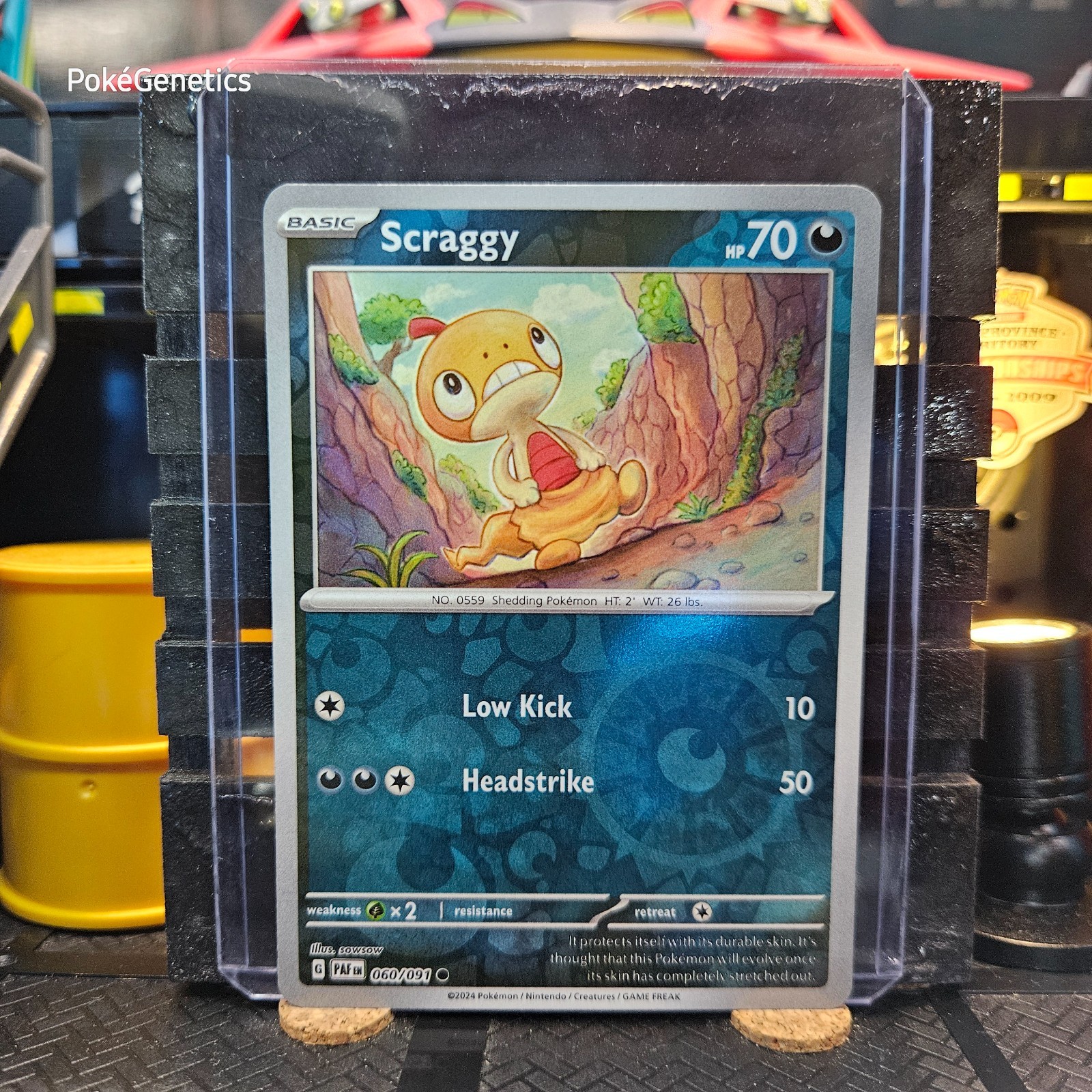 Scraggy Paldean Fates Reverse Holo Pokémon TCG 060/091 Scarlet & Violet Common