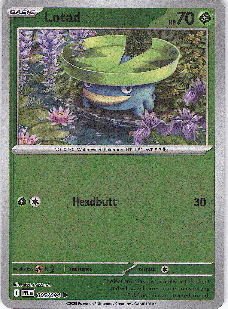 Lotad Common ME02: Phantasmal Flames 005/094 NM