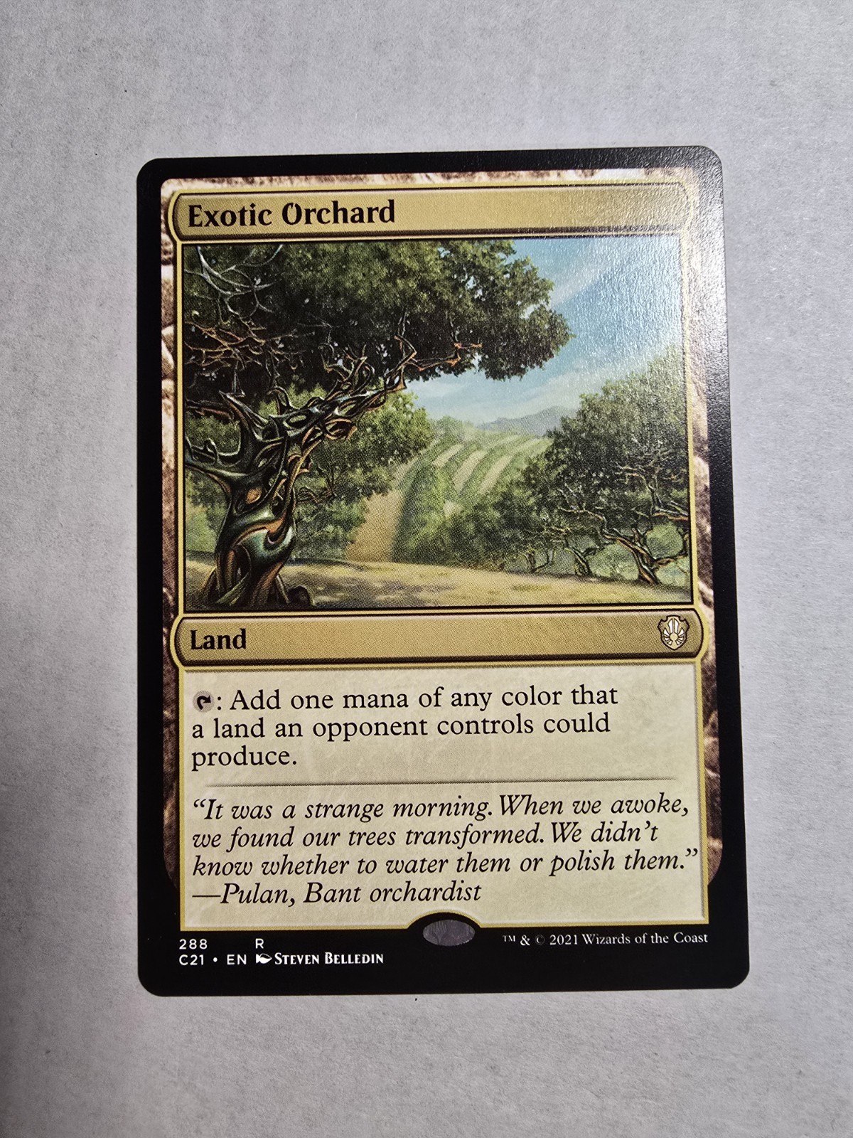 Exotic Orchard Commander 2021 Regular