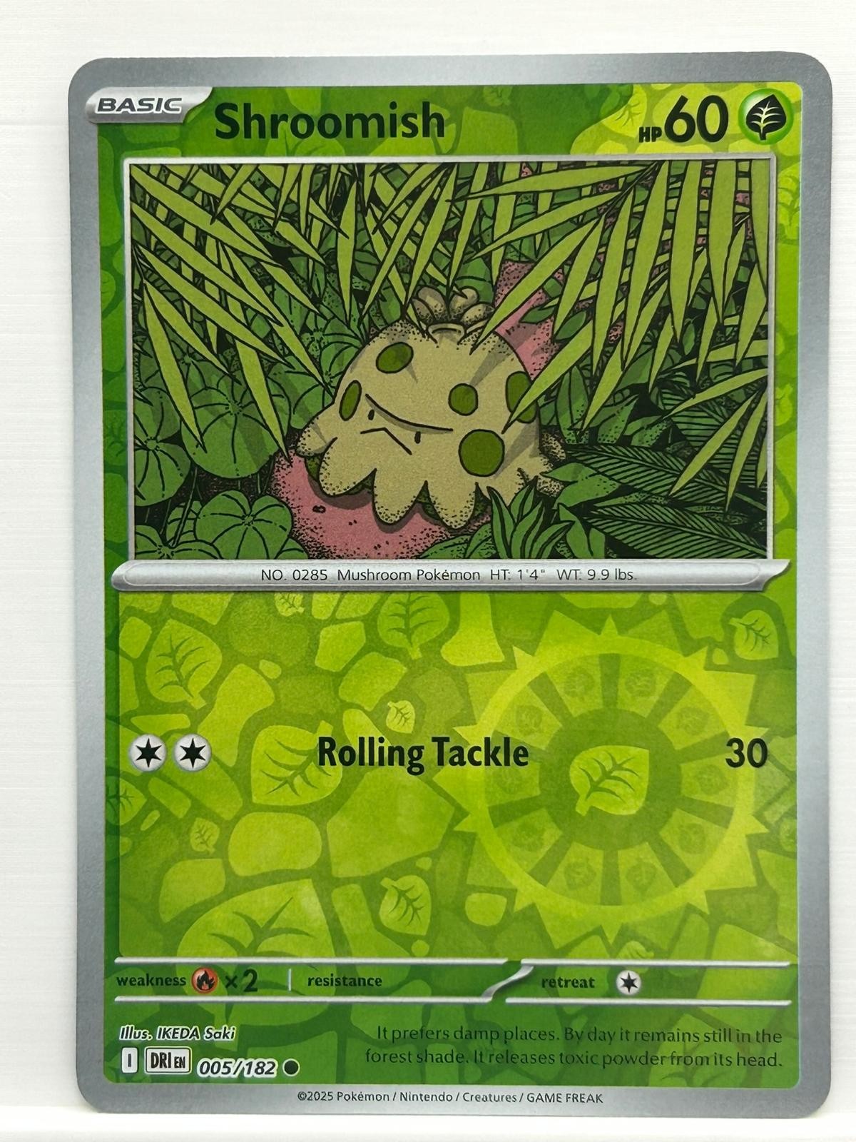 Shroomish 005/182 Common DRI Pokemon Reverse Holo Near Mint IKEDA Saki