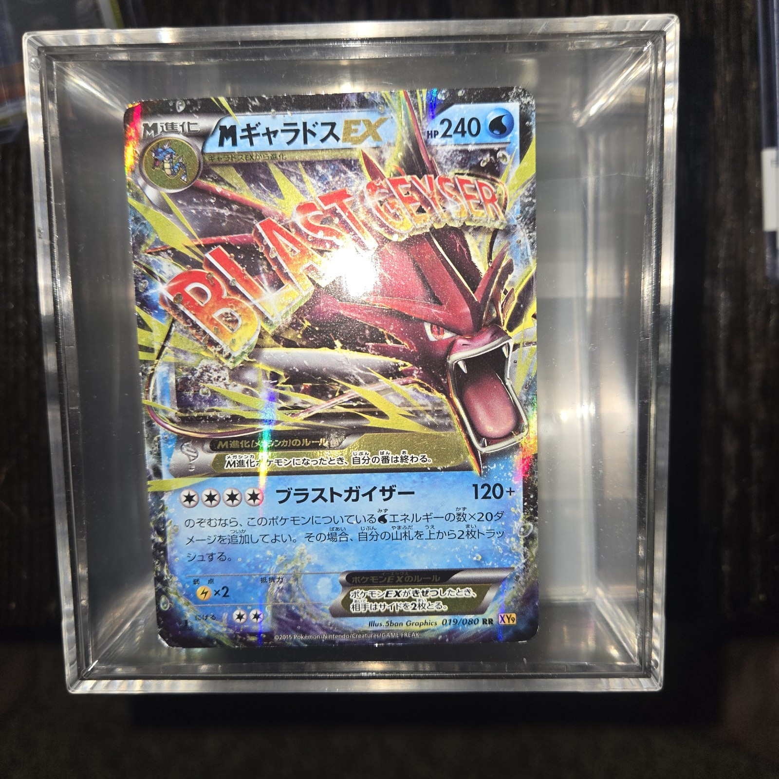 M Gyarados EX 019/080 XY9 1st Edition Japanese Pokemon Card TCG F/S