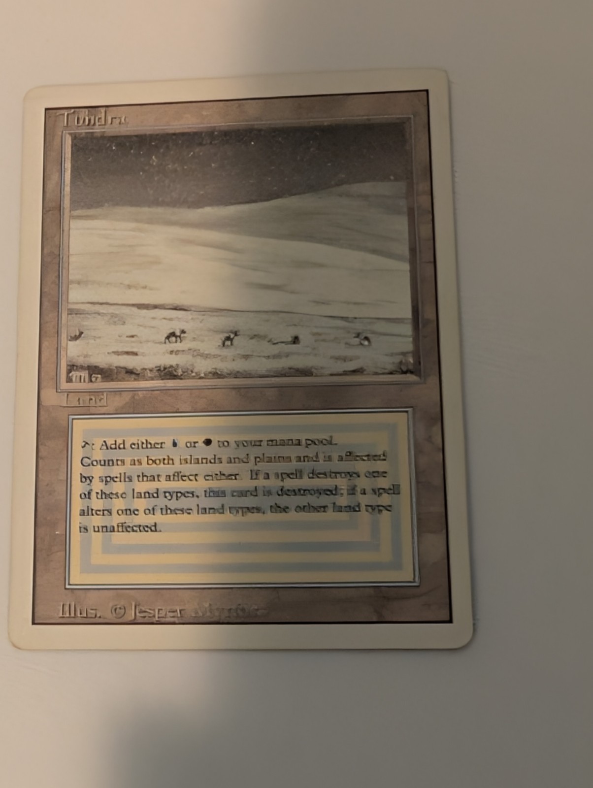 Tundra Revised Edition Regular LP