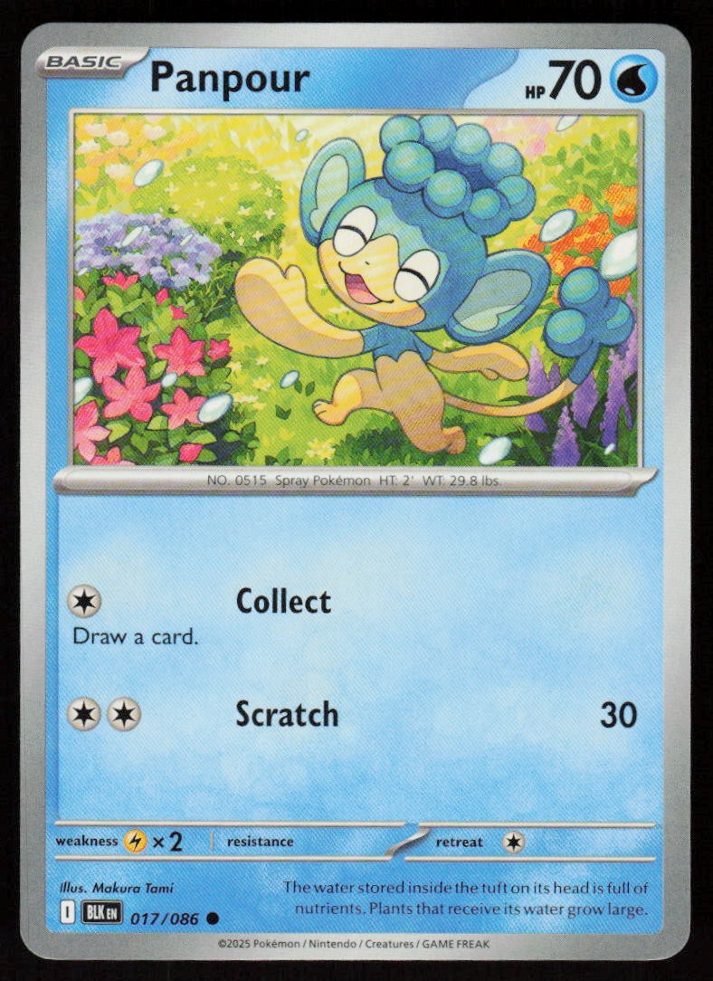 Panpour 017/086 Common Black Bolt Pokemon Near Mint