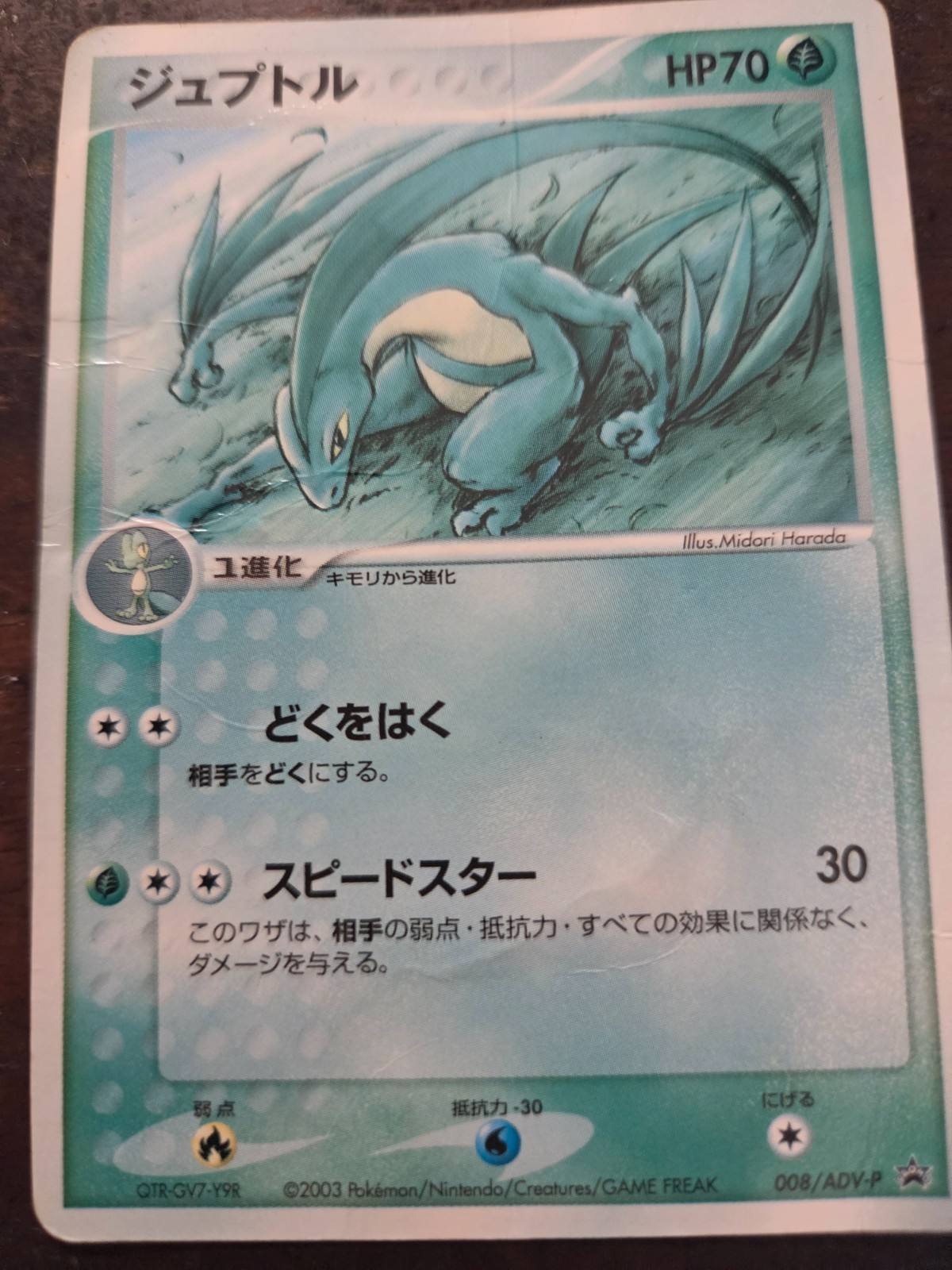 Grovyle – 008/ADV-P 008/ADV-P ADV-P Promotional cards Regular (Japanese)