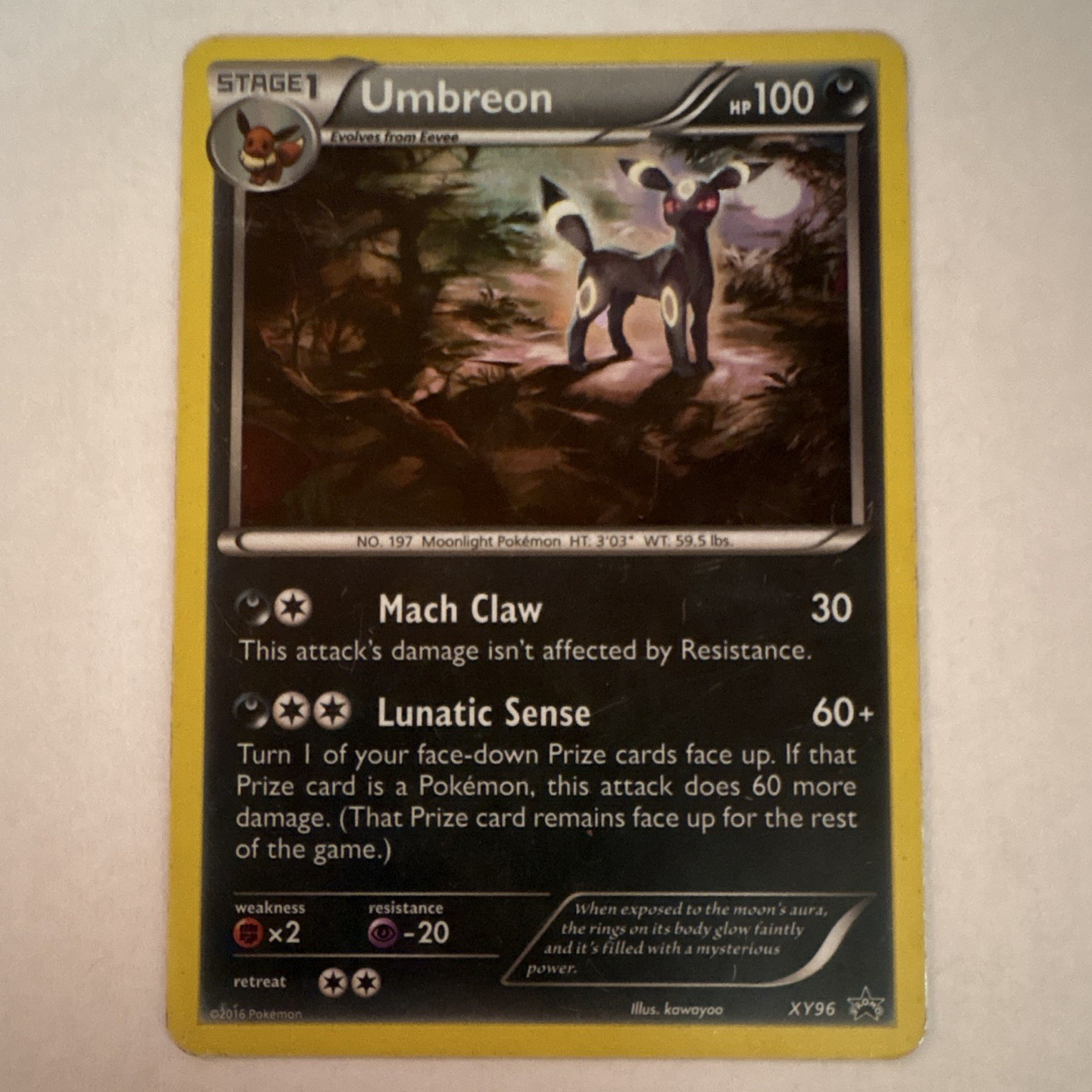Umbreon XY96 XY Holo Promo Stage 1 100 HP English 2016 Pokémon TCG