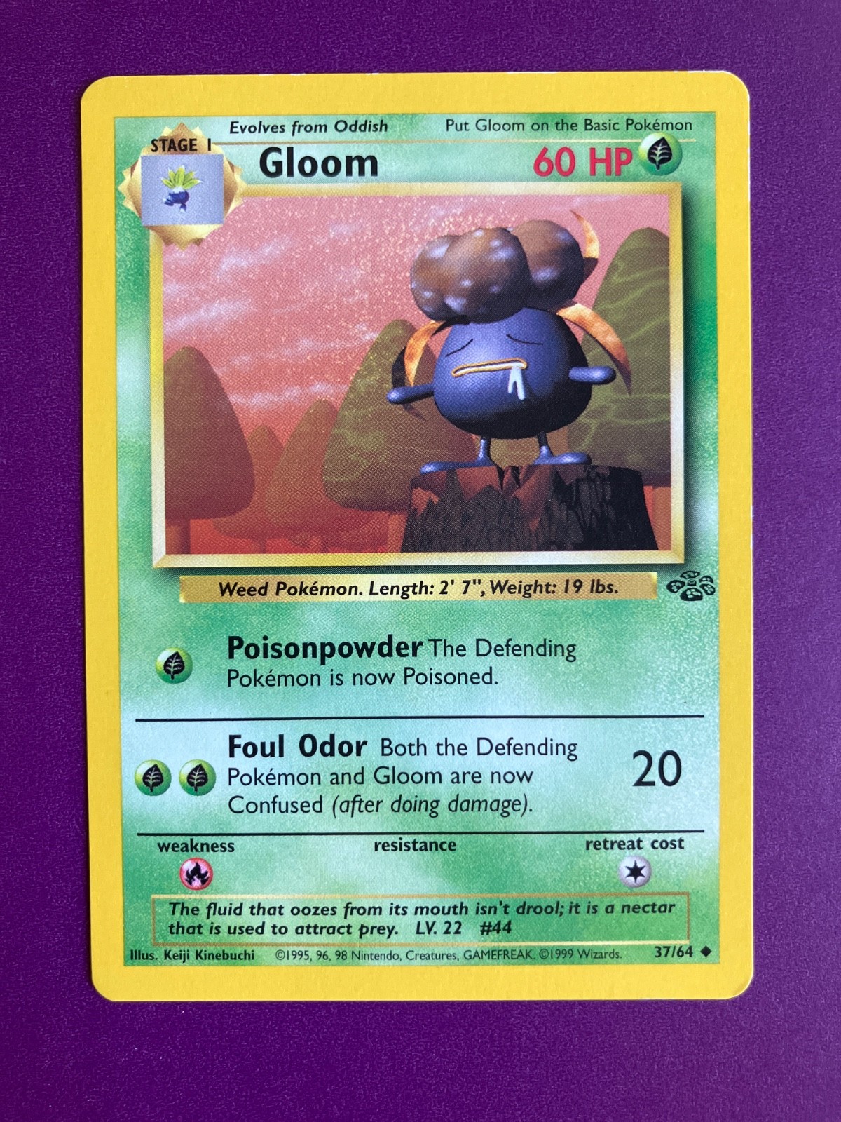Pokemon TCG Gloom 37/64 Jungle D
