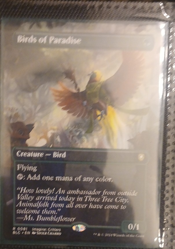 Birds of Paradise (Borderless) Commander: Bloomburrow Regular