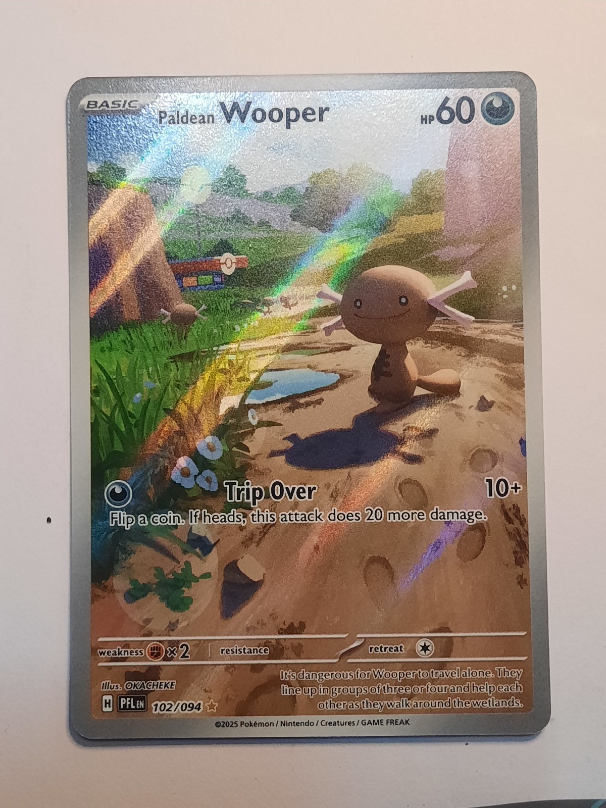 Paldean Wooper 102/094 Illustration Rare Phantasmal Flames Pokemon HOLO NM