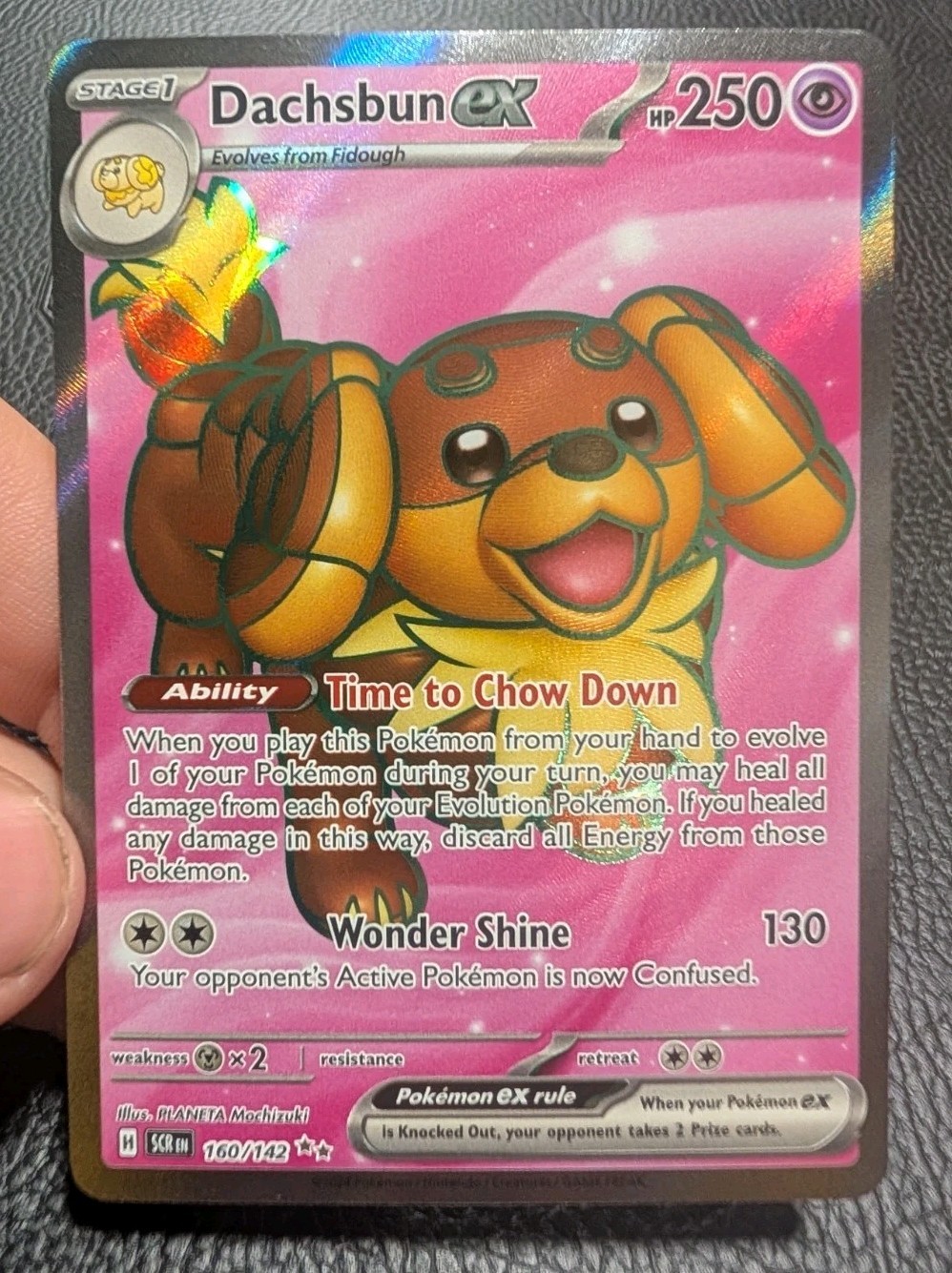 Dachsbun ex 160/142 Ultra Rare Stellar Crown Pokemon Near Mint
