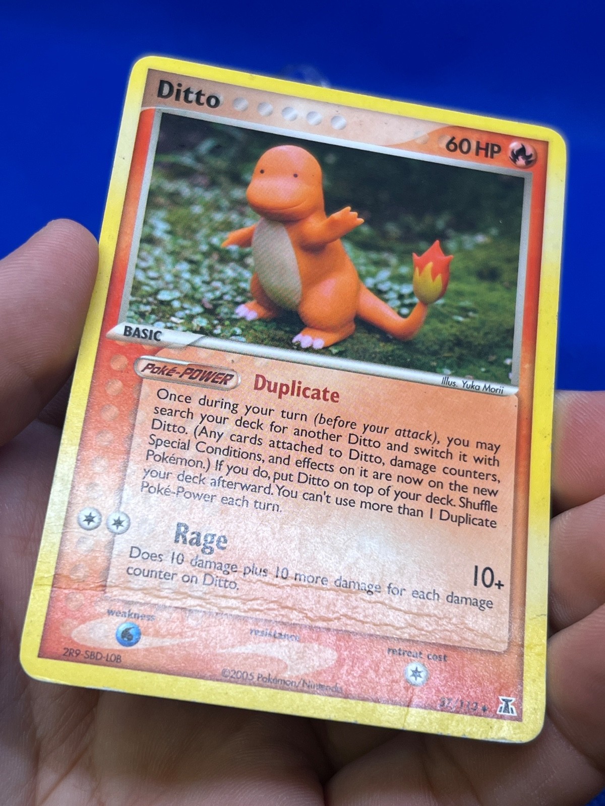 VTG 2005 Pokemon EX Delta Species Ditto Charmander 37/113 Regular Uncommon DMG