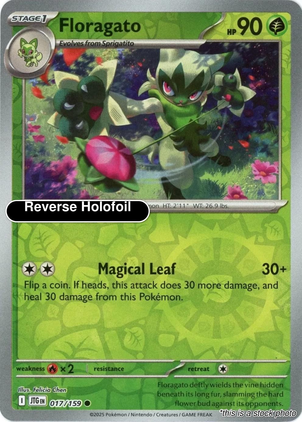 NM Floragato 017/159 Common EN