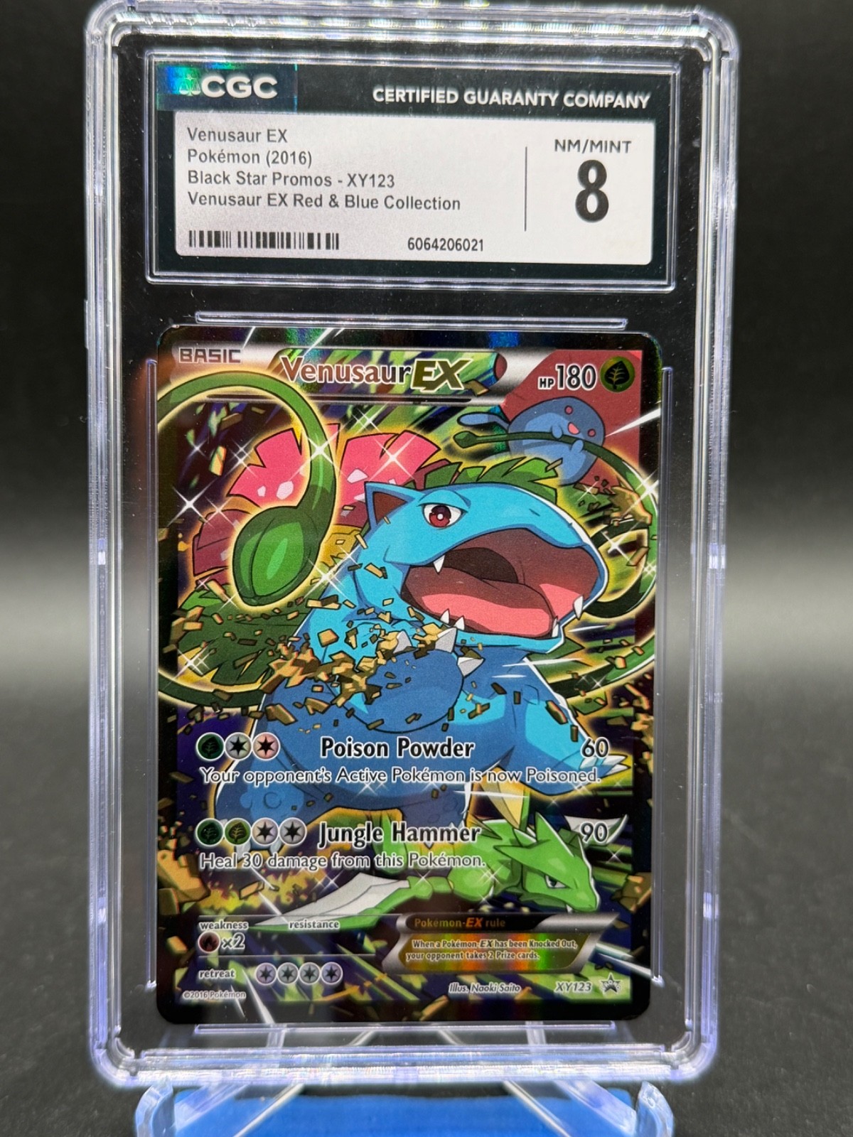 Pokémon Venusaur EX CGC 8 Holo Promo Black Star XY123 2016 Red & Blue Collection