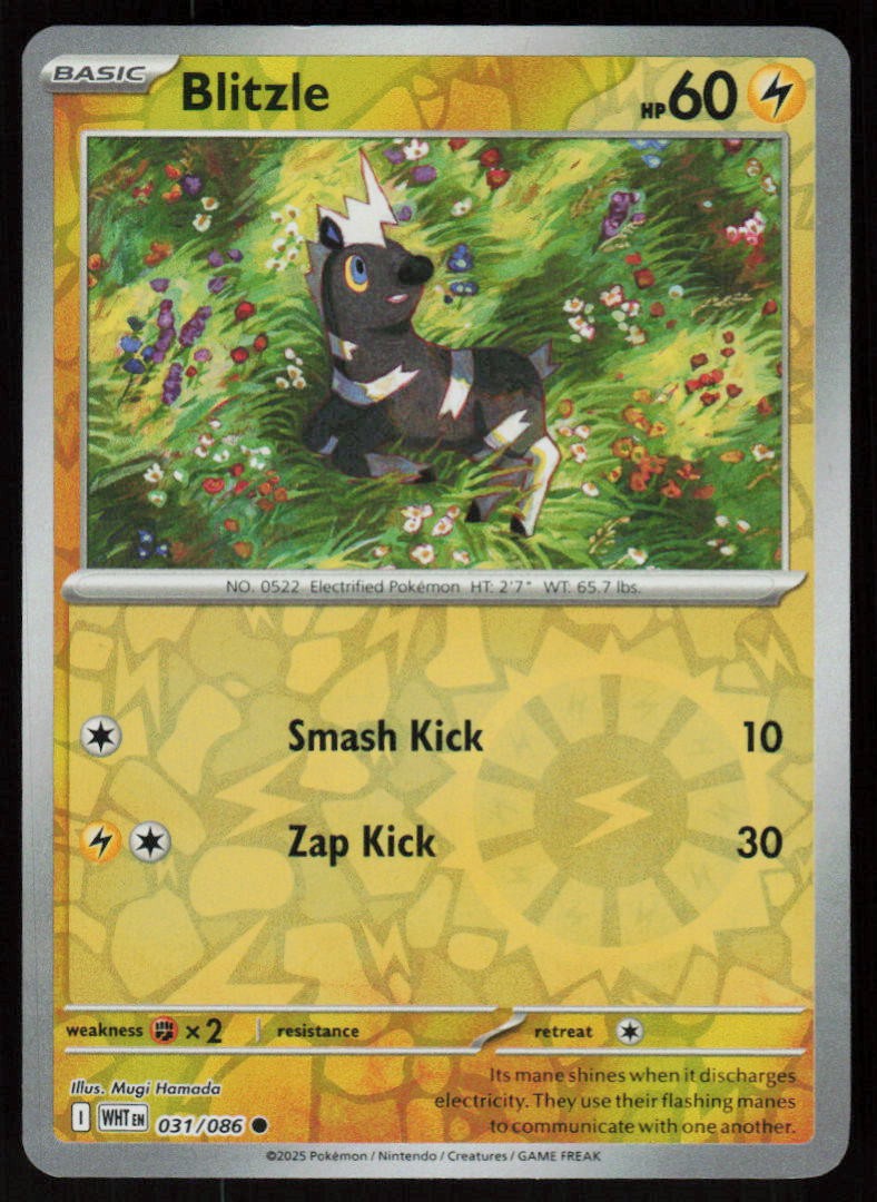 Blitzle 031/086 Common White Flare Pokemon Reverse Holo Near Mint