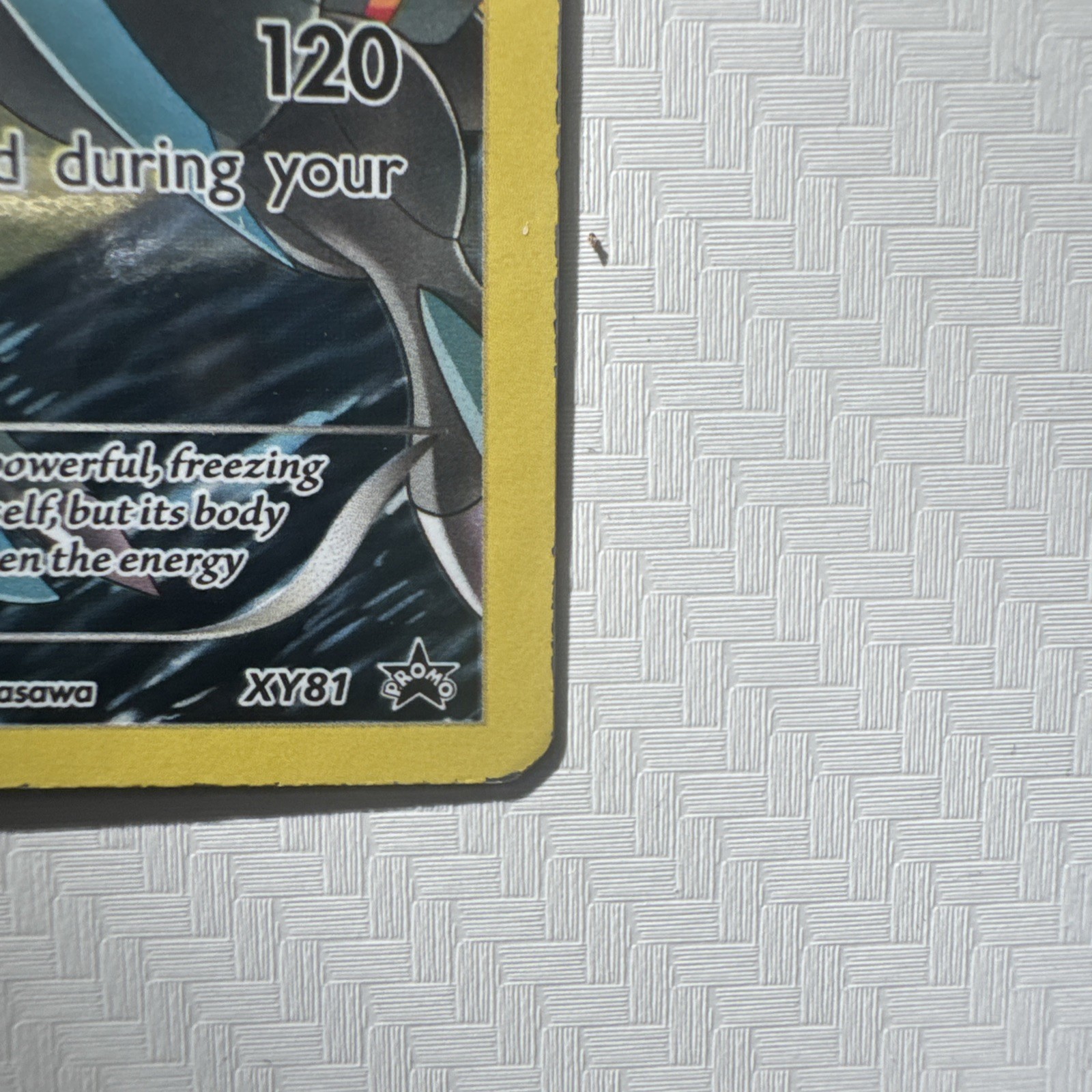 White Kyurem (Full Art Promo) XY81 XY Holo
