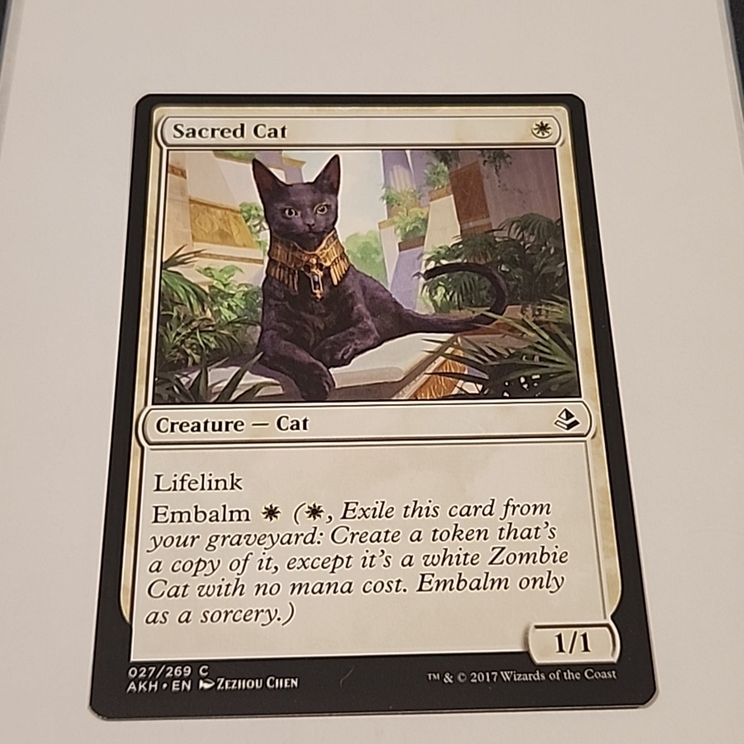Sacred Cat #27 (NM) Amonkhet AKH Magic MTG – Free Shipping!