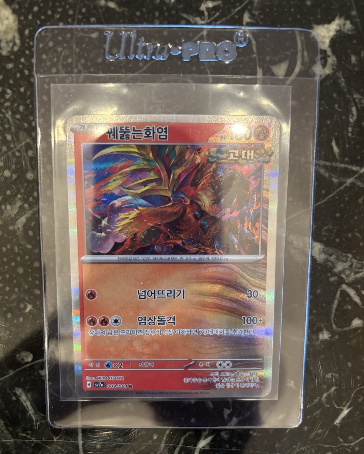 The Pokémon Company Gouging Fire 009/064 Sv7a Holo Rare Korean 2024