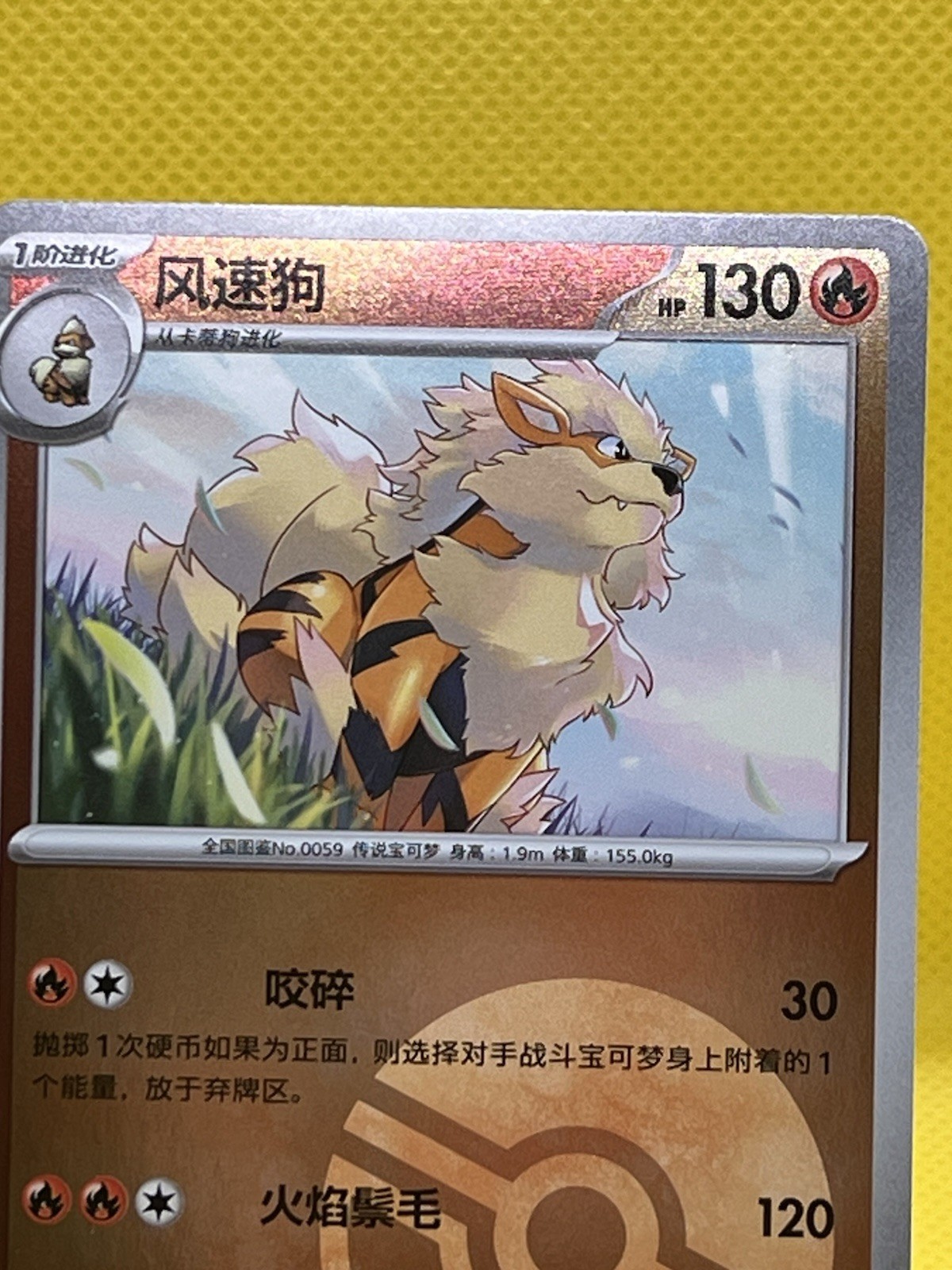Nintendo Pokémon TCG Arcanine 017/130 sv3C C Holo Chinese 2025