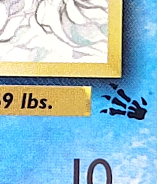 Pokémon Resistance Gym 109/132 Gym Challenge Rare 1st Edition Regular Card