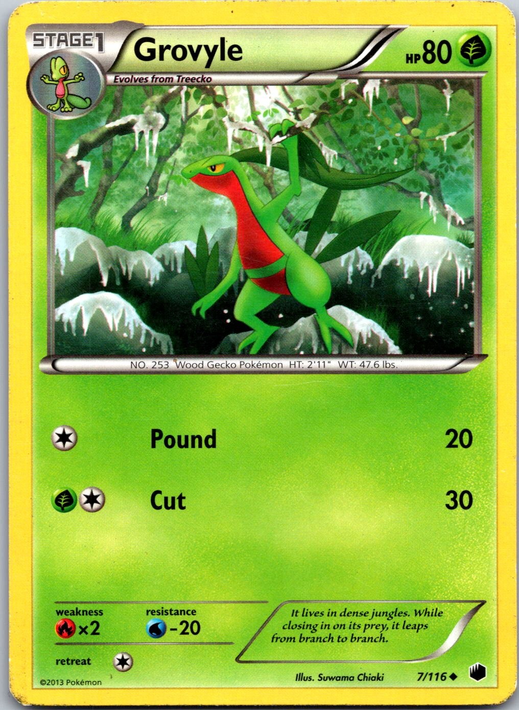 Grovyle 7/116 Uncommon Plasma Freeze Pokemon Heavily Played