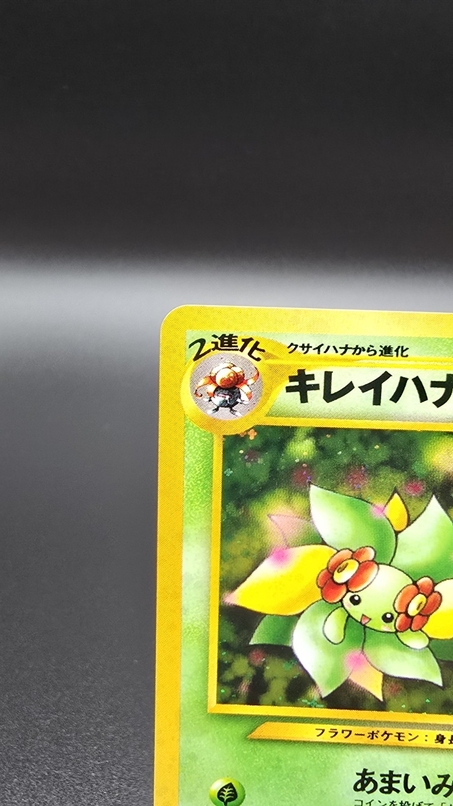 Bellossom ✨ Pokémon 2000 Japanese Neo Genesis Holo Rare #182 (NM) 🌀Swirl🌀