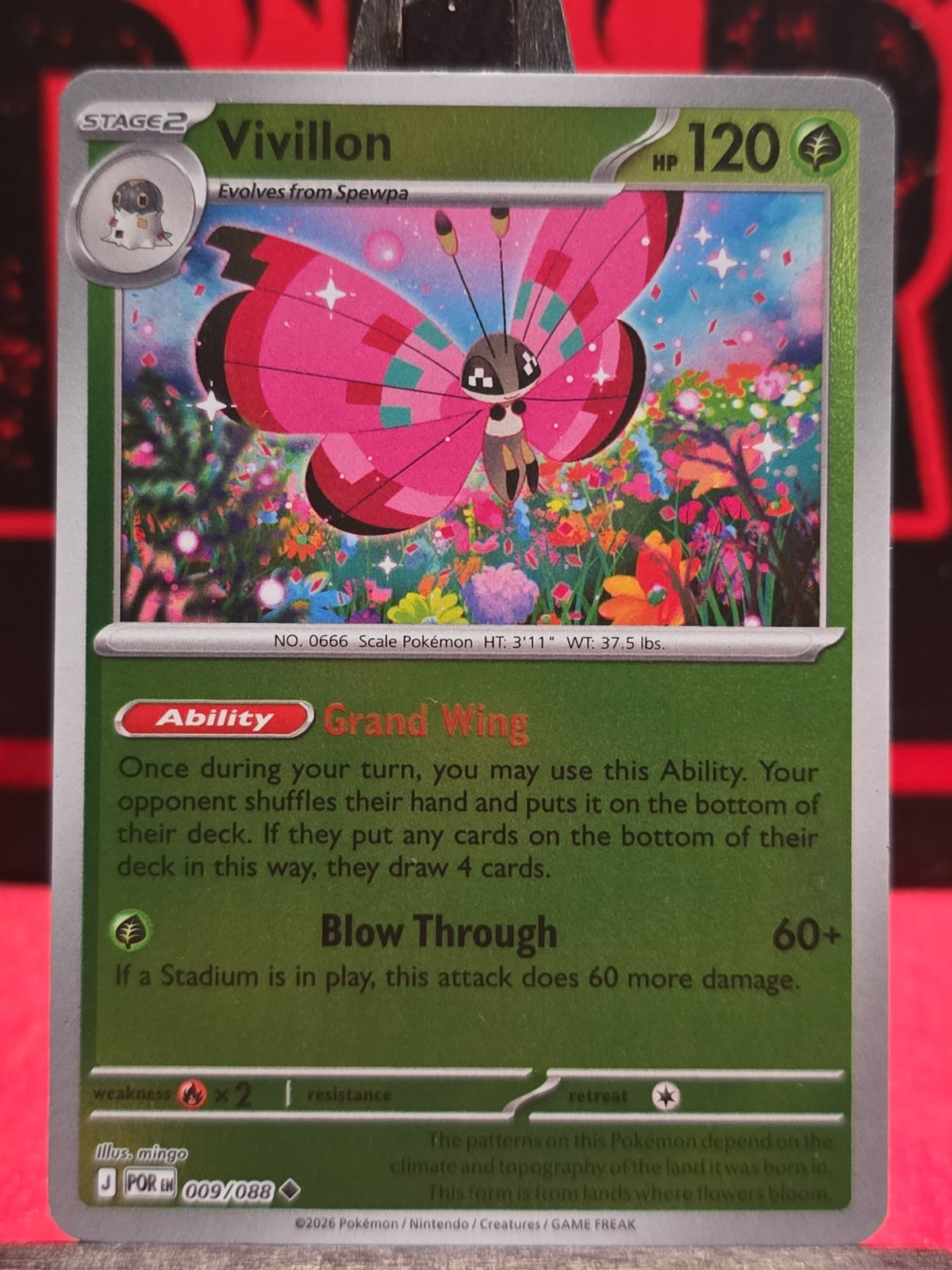 Pokemon – Vivillon Reverse Holofoil Perfect Order [POR – 009/088] NM Uncommon