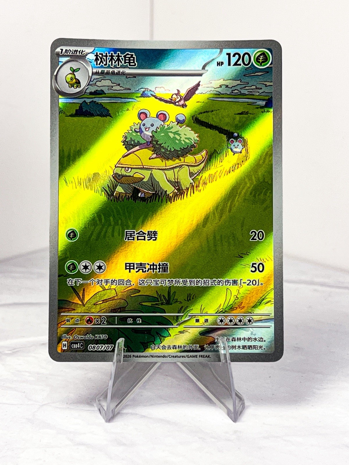 Pokémon TCG Grotle Chinese Gem Pack 4 0807/07 Full Art Holo NM/M