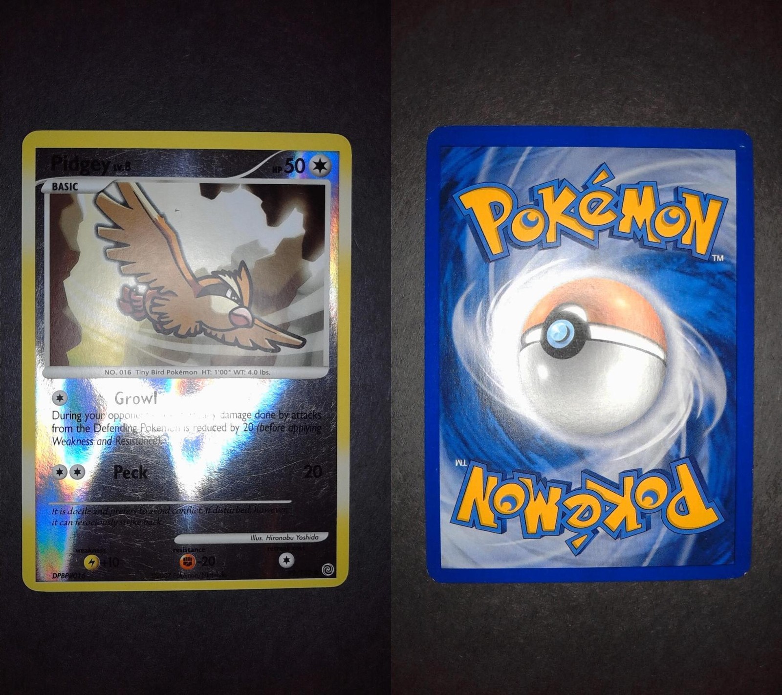 Pidgey 99/132 Common Secret Wonders Pokemon Reverse Holo Lightly Played