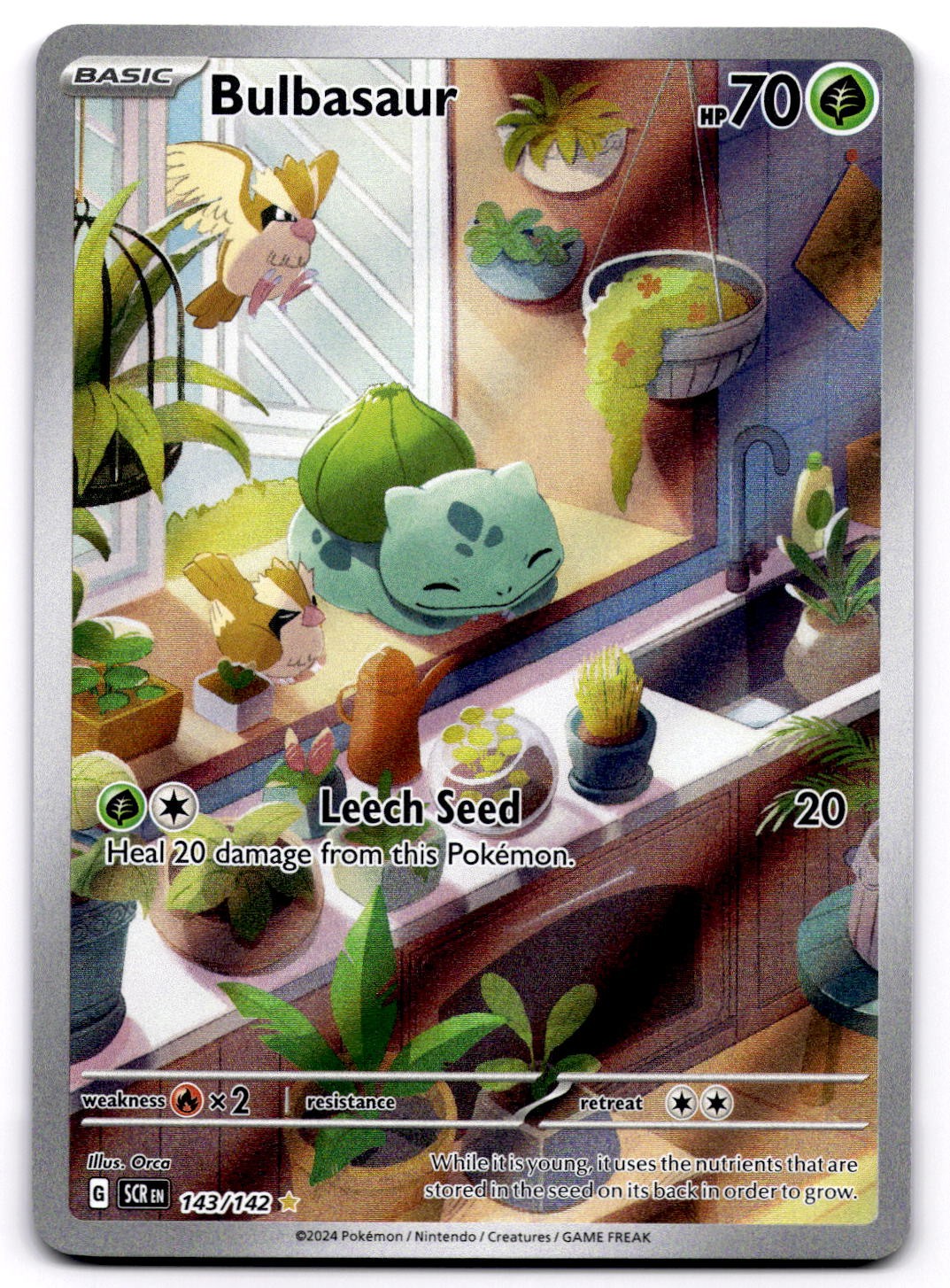 Bulbasaur 143/142 SV Stellar Crown Illustration Rare Pokemon Card – NM